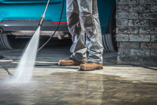 Best Driveway Cleaning and Restoration in Dodge Center, MN