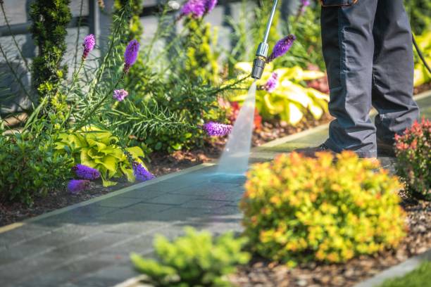 Best Concrete Surface Cleaning in Dodge Center, MN