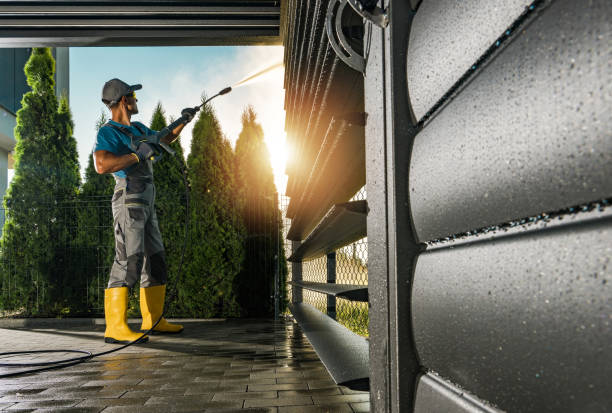 Best Vinyl Siding Pressure Washing in Dodge Center, MN